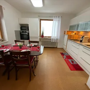 Mitten Im Bayerischen Wald-95m² + *netflix* Direkt Am Skilift! , Schöfweg Deutschland